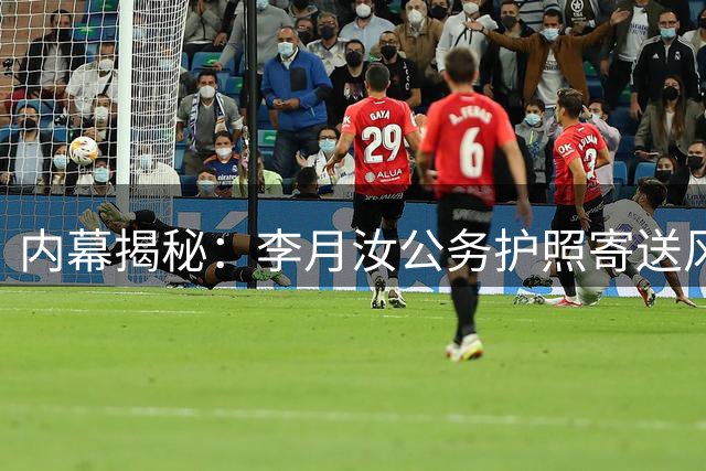 内幕揭秘：李月汝公务护照寄送风波始末